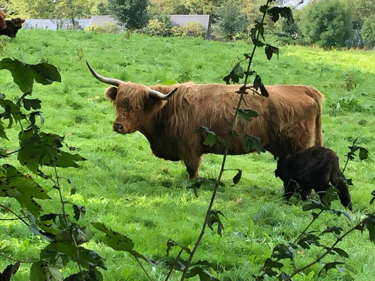 Schoene Aussicht Sauerland By Koelbel Familienurlaub Mit Hund Schmallenberg Ngoại thất bức ảnh
